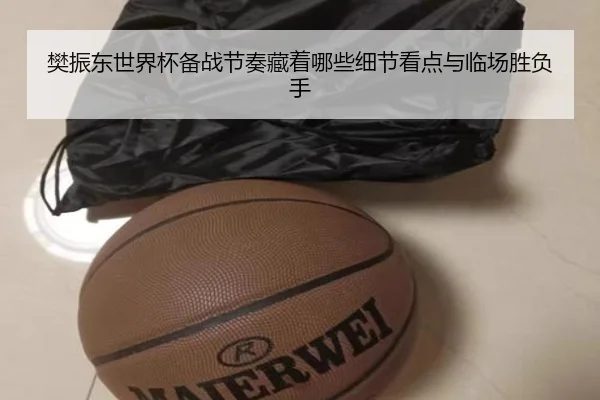 樊振东世界杯备战节奏藏着哪些细节看点与临场胜负手